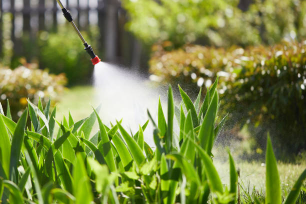 24/7 Emergency Mosquito Control experts in Upper Nyack, NY