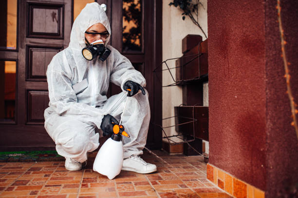 Reliable Mosquito Control contractor in Upper Nyack, NY by Show Me Pest Control